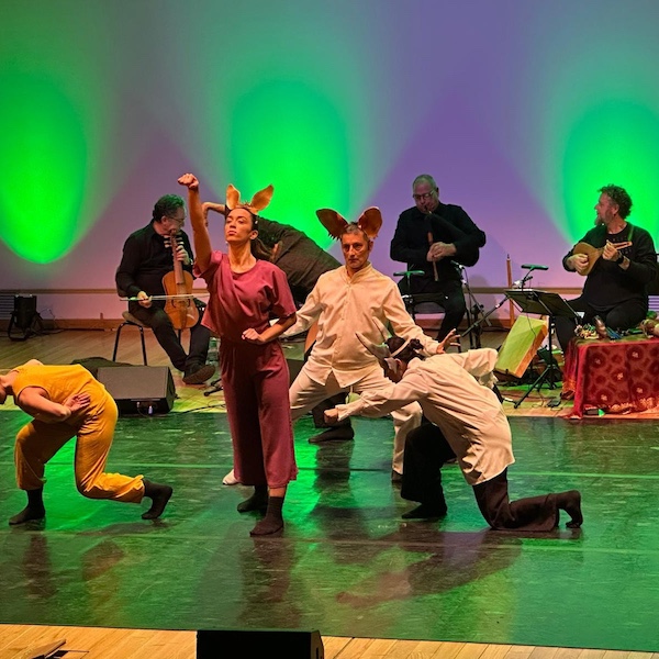 648378054 1541797724618240 7271374246698138232 n